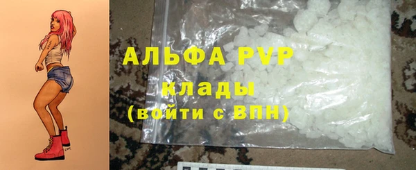 сатива Балахна