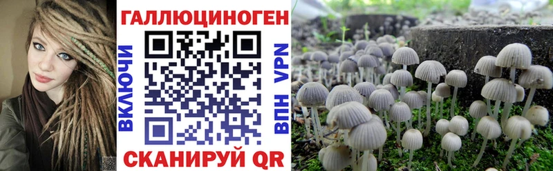 Псилоцибиновые грибы Psilocybe  площадка официальный сайт  Суоярви  закладки 